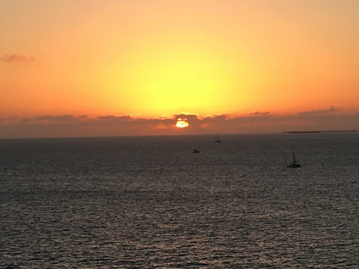 20254 Gulf Blvd, Indian Shores , Clearwater Beach, FL 33785, United States of America. hotel inClearwater Beach